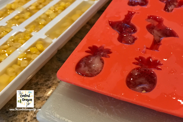 ice cube molds to make frozen chicken treats